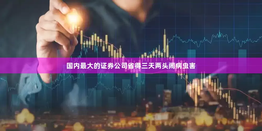 国内最大的证券公司省得三天两头闹病虫害